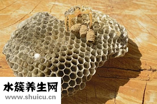 蜂巢皮秒激光怎么样