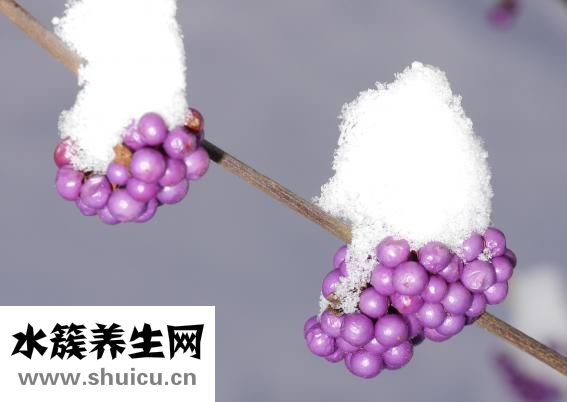 名诗媛女装怎么样
