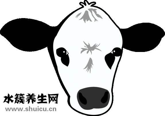 亲点牛乳钙怎么样