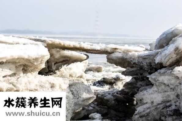 南极人护膝怎么样