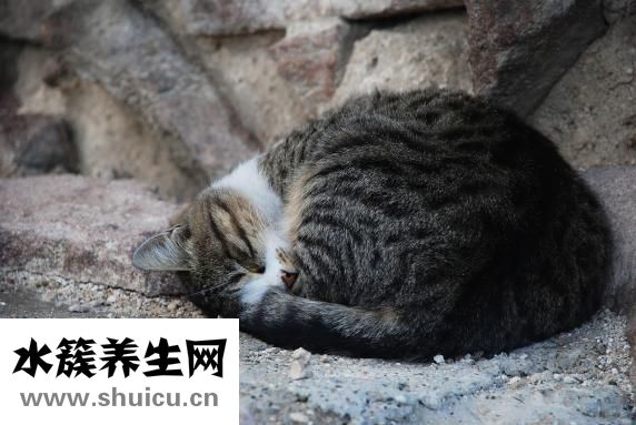 坏习惯有哪些