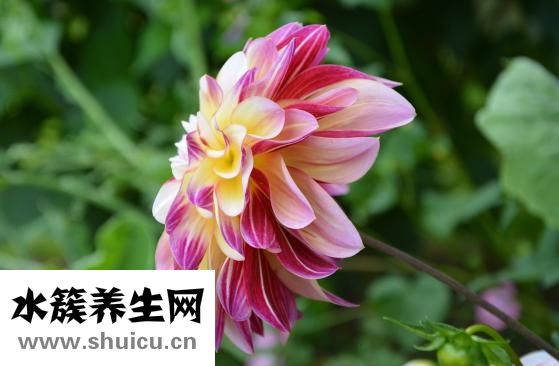 金东海集团怎么样