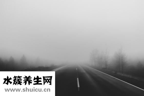 合欢花什么时候开
