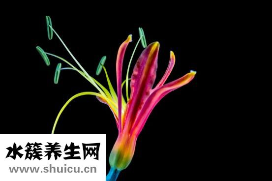 产后恶露多久