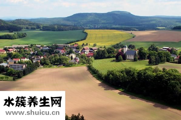 盛灿若怎么样