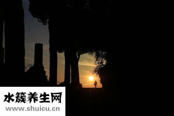 怎么样使头发变黑