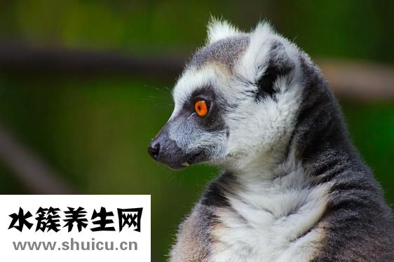 华严北里怎么样