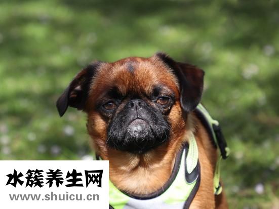 心烦气躁怎么办