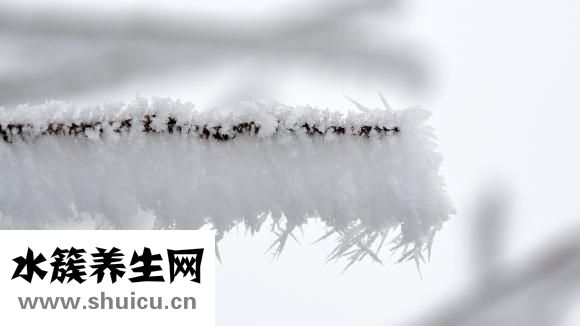 维妥立鱼肝油怎么样