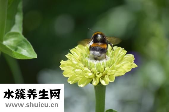 曾骐怎么样
