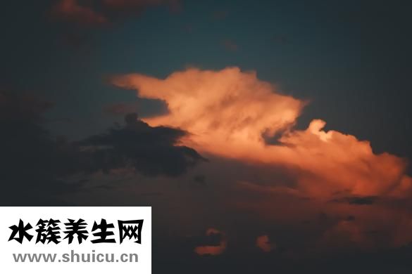 云成有机红糖怎么样