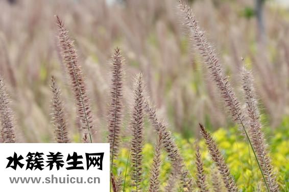什么是工作性质