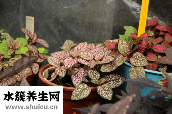 记号笔怎么洗