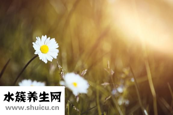 脸上长红血丝怎么办