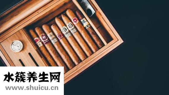 帕特加斯雪茄怎么样