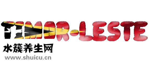 乐天慧智妈咪怎么样
