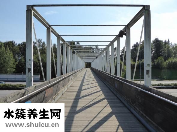京东运费怎么算