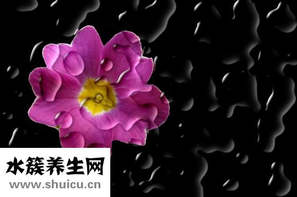 耳一号耳机怎么样