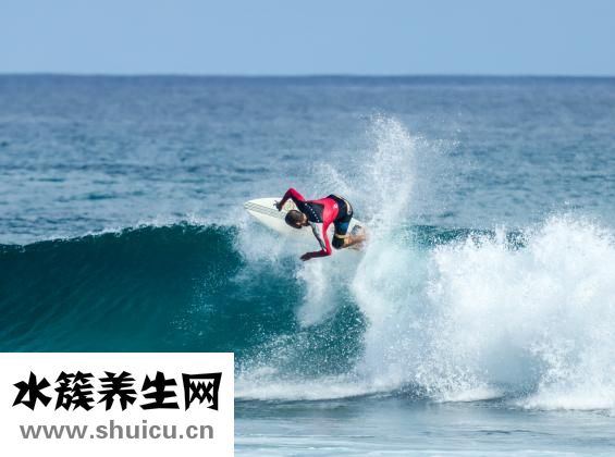 陈鲁豫为什么那么瘦