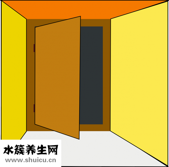 素派淡印精华怎么样