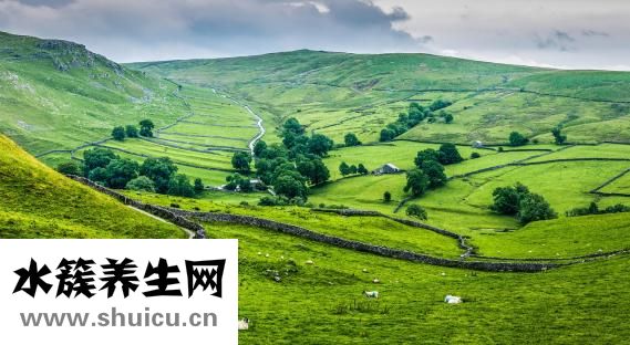 特仑牧场奶怎么样
