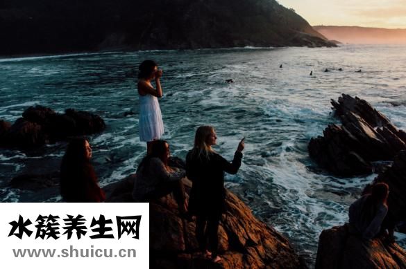 朋禾怎么样