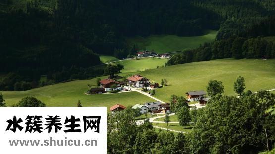 怎么扎花苞头