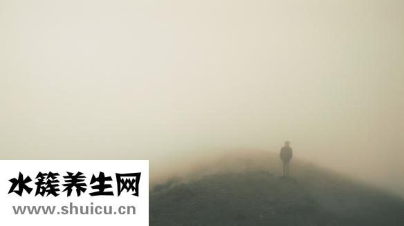 怎么样可以除口臭呀