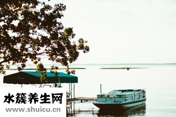 博乐纯日抛怎么样