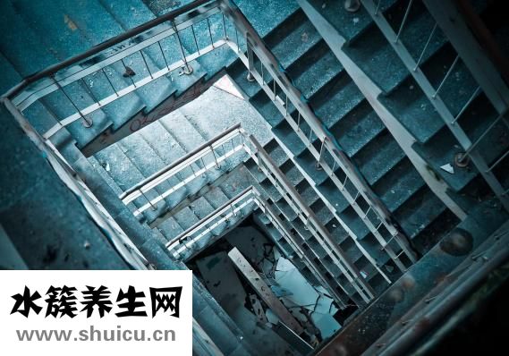藏秘眼中金怎么样