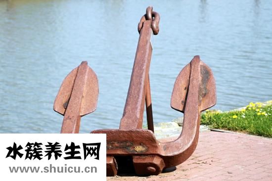 小浣熊婴儿霜怎么样
