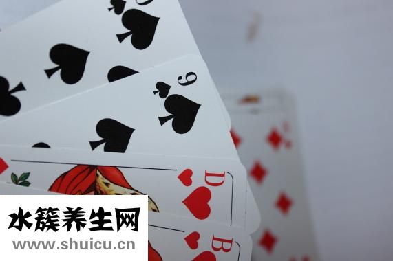 公文包怎么用