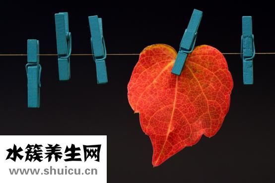 吃什么瘦胸