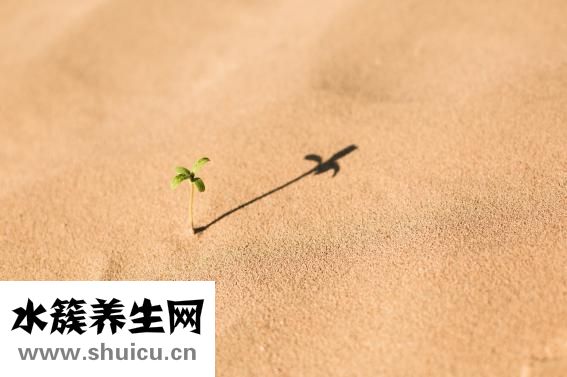 脸上长红血丝怎么办