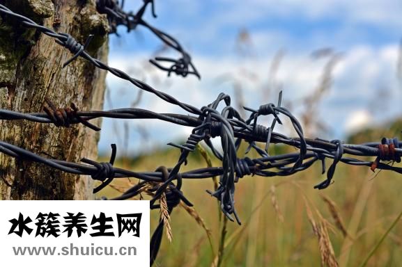 乐天慧智妈咪怎么样