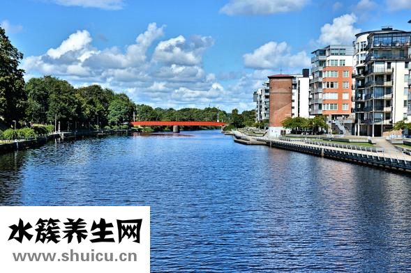 送什么花好
