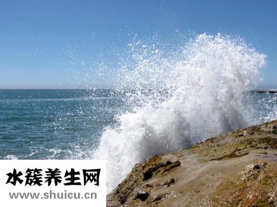 巧虎早教怎么样