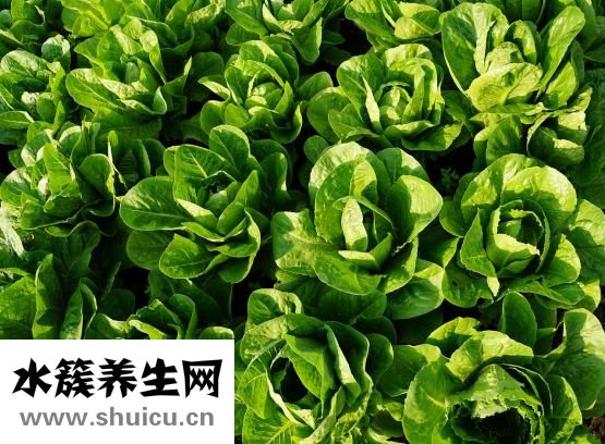 痔疮总出血怎么办