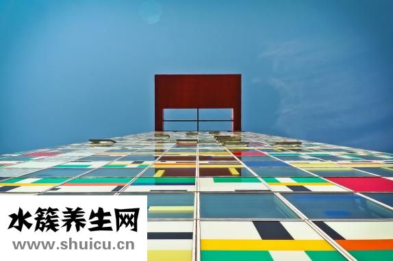 威猛先生怎么样
