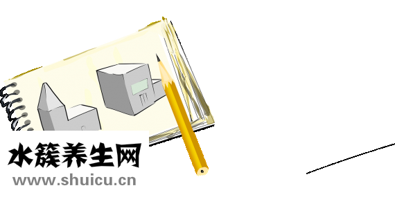 死间计划是什么