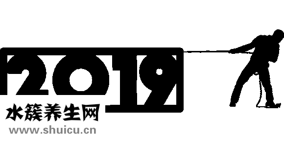 庞玉琴怎么样