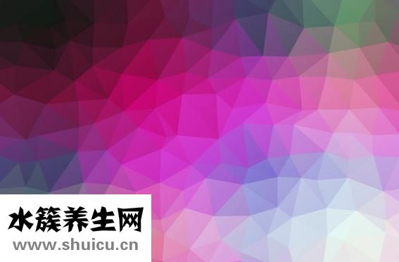 送什么花好