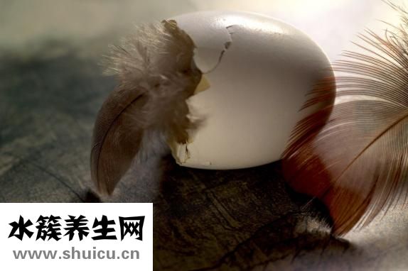 早餐吃什么营养