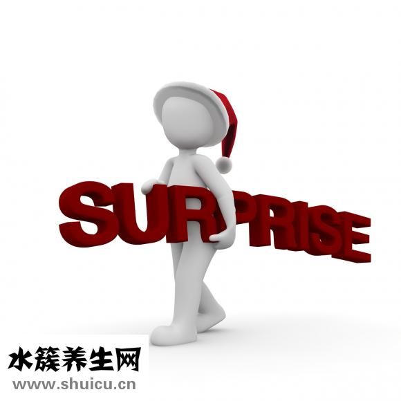 诗漫丹怎么样
