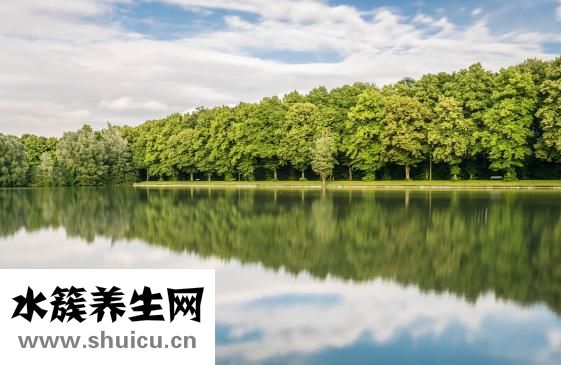 生态棉的尿布怎么样