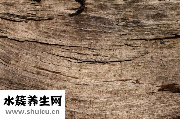 蛤蛎油怎么样
