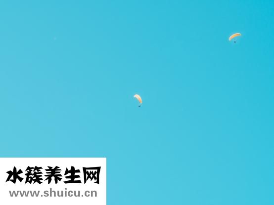 姿势英语怎么说