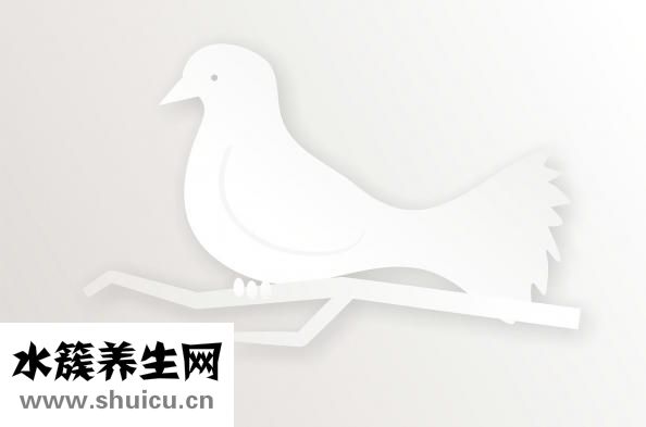 保安到底怎么样
