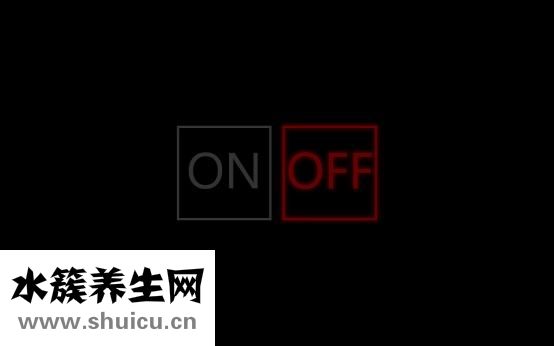小雏菊润唇膏怎么样