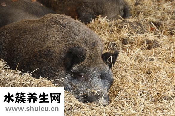 怎么样保管香肠